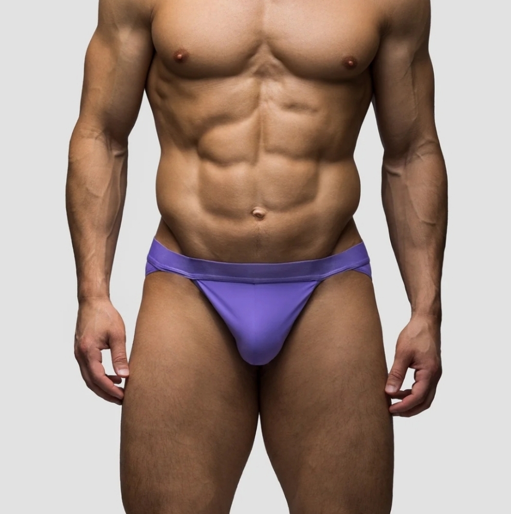 Todd Sanfield Collection Haze Sport Brief NWT